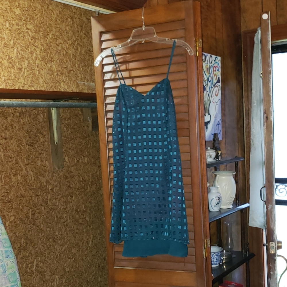 Dress - Picture 2 of 4